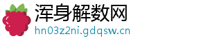 浑身解数网